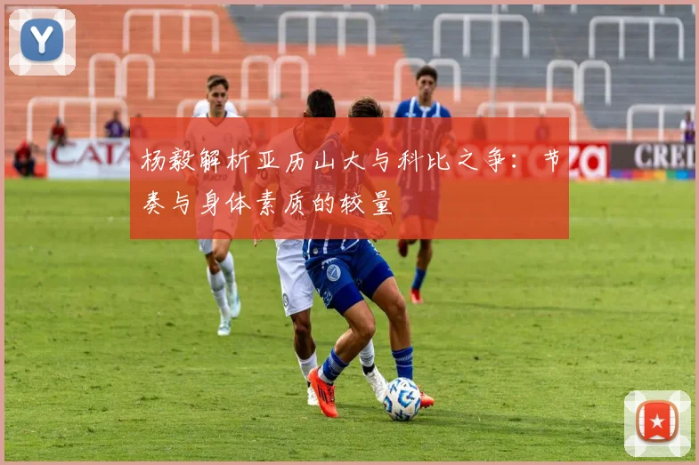 杨毅解析亚历山大与科比之争：节奏与身体素质的较量