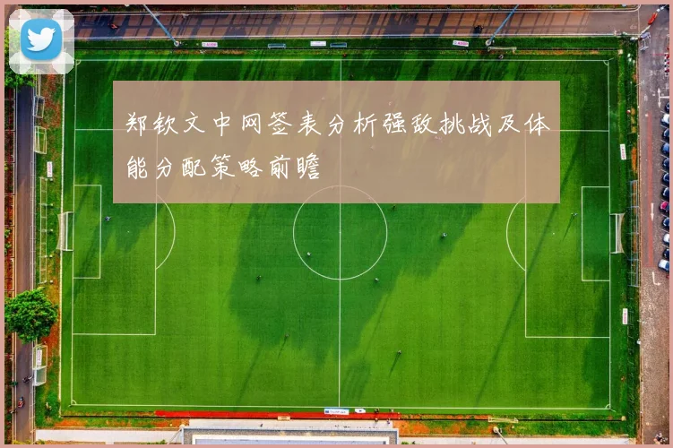 郑钦文中网签表分析强敌挑战及体能分配策略前瞻
